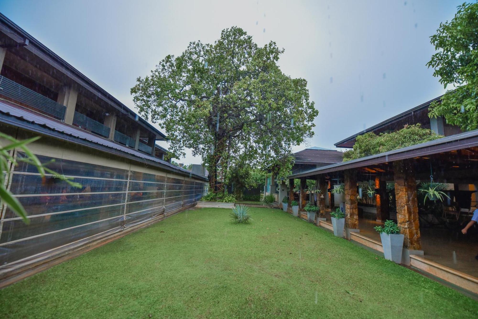 The Full Moon Hotel Katunayaka Bagian luar foto